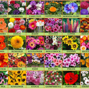 Combination Seed Pack